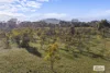 3210 Ararat - St Arnaud Road, Navarre, Vic 3384-Image