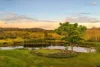 323 Bingeebeebra Road, Bingeebeebra Creek NSW 2469-Image