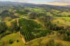 323 Bingeebeebra Road, Bingeebeebra Creek NSW 2469-Image