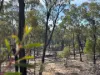 325 Cypress Avenue, Millmerran Woods, Qld 4357