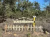 325 Cypress Avenue, Millmerran Woods, Qld 4357-Image