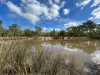 325 Cypress Avenue, Millmerran Woods, Qld 4357-Image