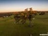 325 Keyneton Road, Keyneton, SA 5353-Image