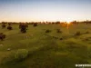 325 Keyneton Road, Keyneton, SA 5353-Image