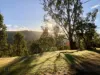 3250 Boonah - Rathdowney Road, Rathdowney, Qld 4287-Image