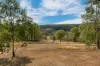 3250 Boonah - Rathdowney Road, Rathdowney, Qld 4287-Image