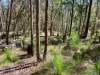 3250 Boonah - Rathdowney Road, Rathdowney, Qld 4287-Image