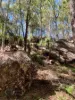 3250 Boonah - Rathdowney Road, Rathdowney, Qld 4287-Image