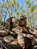 3250 Boonah - Rathdowney Road, Rathdowney, Qld 4287-Image