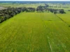 326 Tyntynder Central Road, Tyntynder, Vic 3586-Image