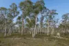 328 Wolgon Rd, Windellama, NSW 2580