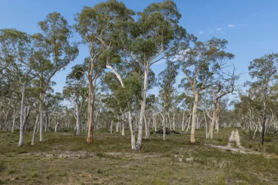 328 Wolgon Rd, Windellama, NSW 2580
