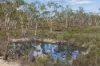 328 Wolgon Rd, Windellama, NSW 2580-Image