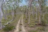 328 Wolgon Rd, Windellama, NSW 2580-Image