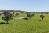 3280 Murringo Road, Young, NSW 2594-Image