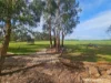 3297 Graham Road, Nanneella, Vic 3561-Image