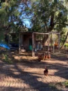33 McConkey Road, Greenough, WA 6532-Image
