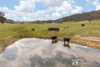 3303 Bylong Valley Way, Rylstone, NSW 2849-Image