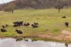 3303 Bylong Valley Way, Rylstone, NSW 2849-Image