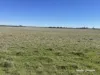 331 Red Dam Road, Cleary, WA 6472
