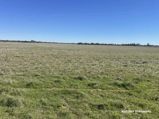 331 Red Dam Road, Cleary, WA 6472