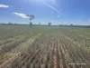 331 Red Dam Road, Cleary, WA 6472-Image