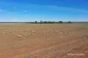 331 Red Dam Road, Cleary, WA 6472-Image