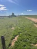 331 Red Dam Road, Cleary, WA 6472-Image