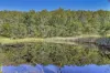 332-388 Upper Yango Creek Road, Laguna, NSW 2325-Image
