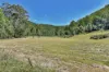 332-388 Upper Yango Creek Road, Laguna, NSW 2325-Image
