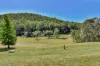 332-388 Upper Yango Creek Road, Laguna, NSW 2325-Image