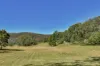 332-388 Upper Yango Creek Road, Laguna, NSW 2325-Image