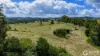 333 Wilton Road, Greens Creek, Qld 4570-Image