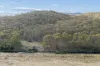 3331 Shannons Flat Road, Shannons Flat, NSW 2630-Image