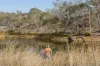 3331 Shannons Flat Road, Shannons Flat, NSW 2630-Image