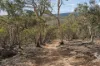 3331 Shannons Flat Road, Shannons Flat, NSW 2630-Image