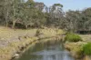 3331 Shannons Flat Road, Shannons Flat, NSW 2630-Image