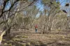 3331 Shannons Flat Road, Shannons Flat, NSW 2630-Image