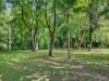 334 Mount Coxcomb Road, Upper Lansdowne, NSW 2430-Image