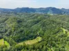 334 Mount Coxcomb Road, Upper Lansdowne, NSW 2430-Image