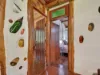 334 Mount Coxcomb Road, Upper Lansdowne, NSW 2430-Image