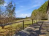 336 Burders Lane, Whitlands, Vic 3678-Image