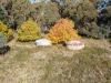 336 Burders Lane, Whitlands, Vic 3678-Image
