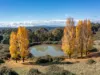 336 Burders Lane, Whitlands, Vic 3678-Image