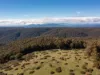 336 Burders Lane, Whitlands, Vic 3678-Image
