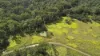 337 Clearview Road, Coutts Crossing, NSW 2460-Image