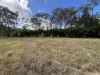 337 Clearview Road, Coutts Crossing, NSW 2460-Image