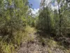 337 Clearview Road, Coutts Crossing, NSW 2460-Image