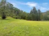 34 Cedar Street, Wollombi, NSW 2325-Image