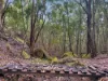 34 Cedar Street, Wollombi, NSW 2325-Image